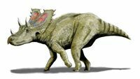 Artist reconstruction of Agujaceratops by Nobu Tamura